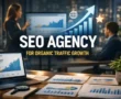 seo agency in pakistan
